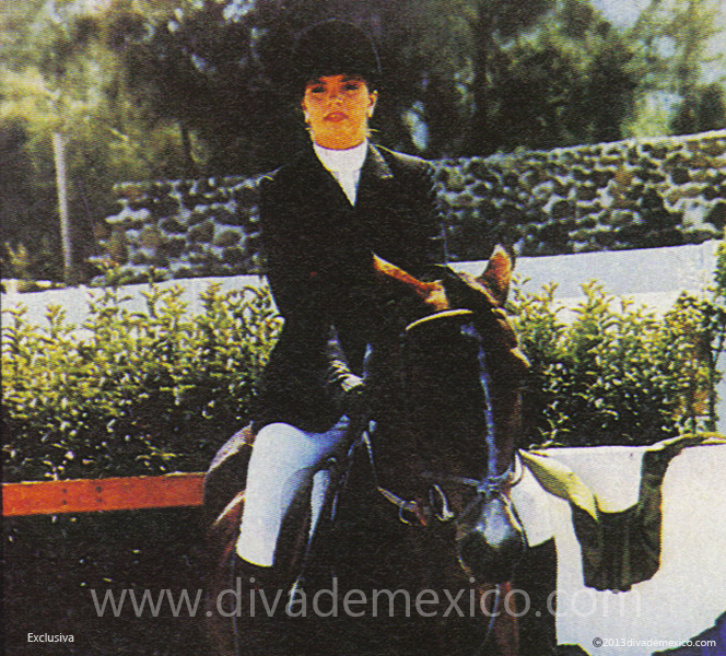 lucero amazona